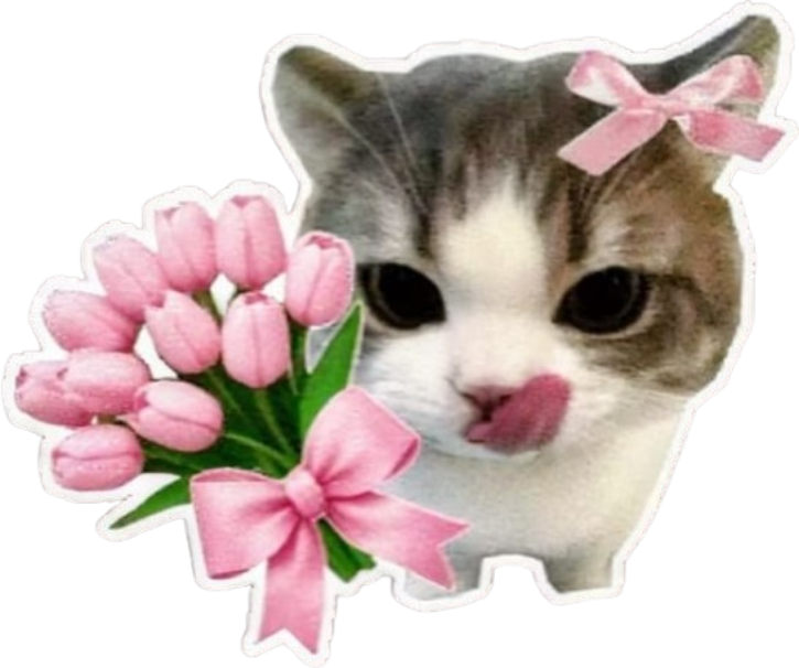 Cat holding pink flowers